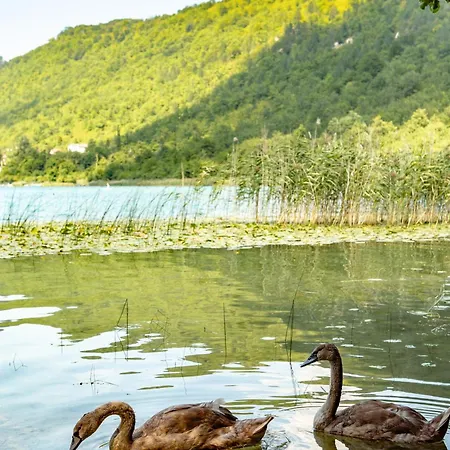 Glamping Boraglamp - Boracko Jezero Konjic